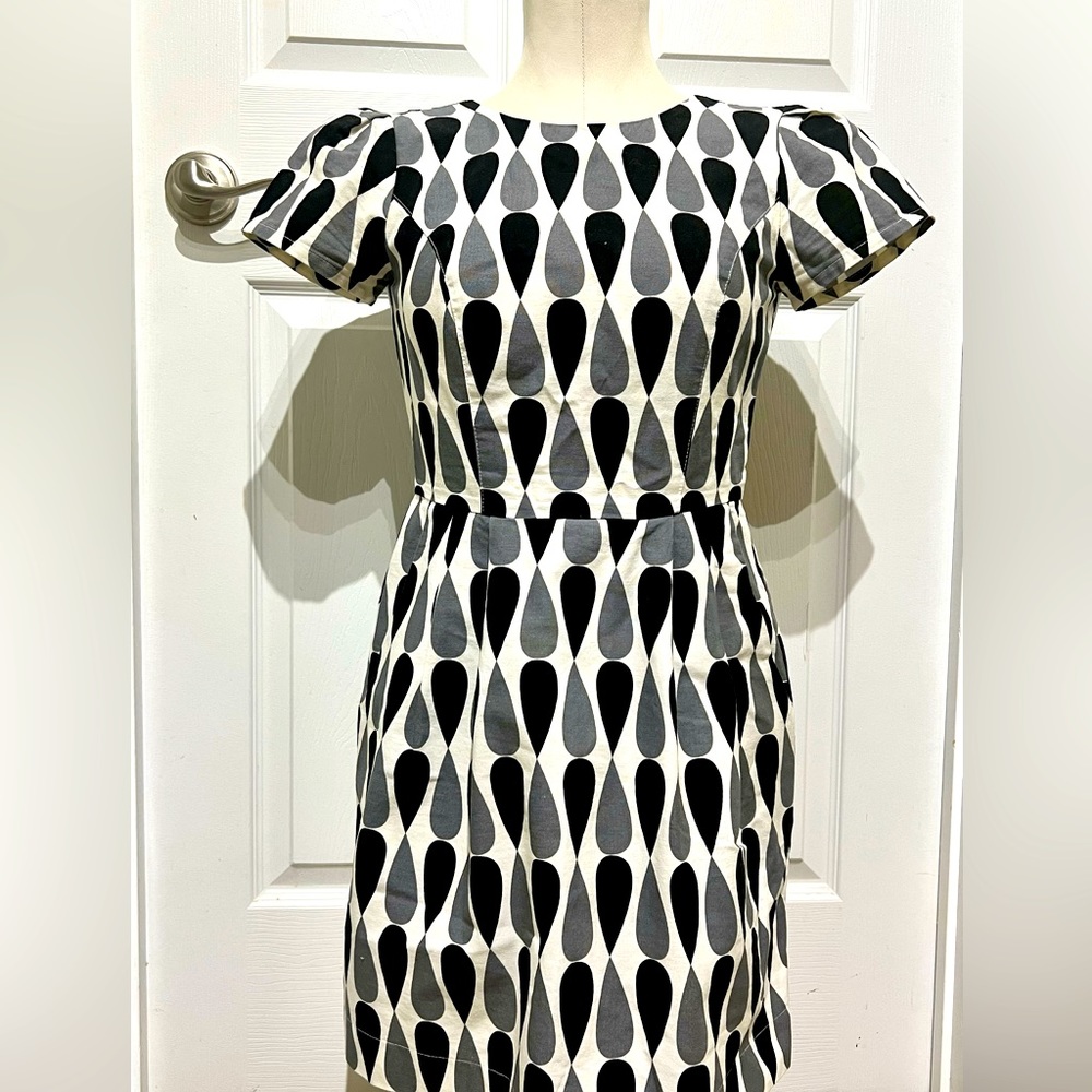 Birds of North America Dress  Size 2